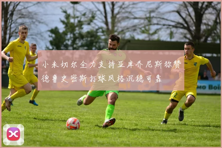 小米切尔全力支持亚库乔尼斯称赞德鲁史密斯打球风格沉稳可靠